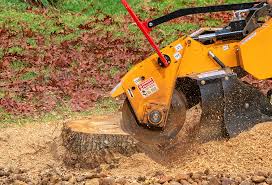 Best Tree Cabling and Bracing  in American Falls, ID