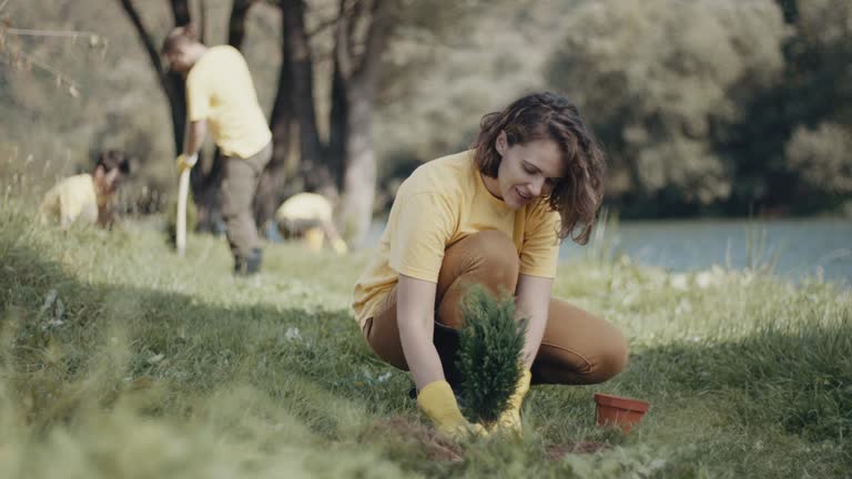 Best Lawn Irrigation Installation and Maintenance  in American Falls, ID
